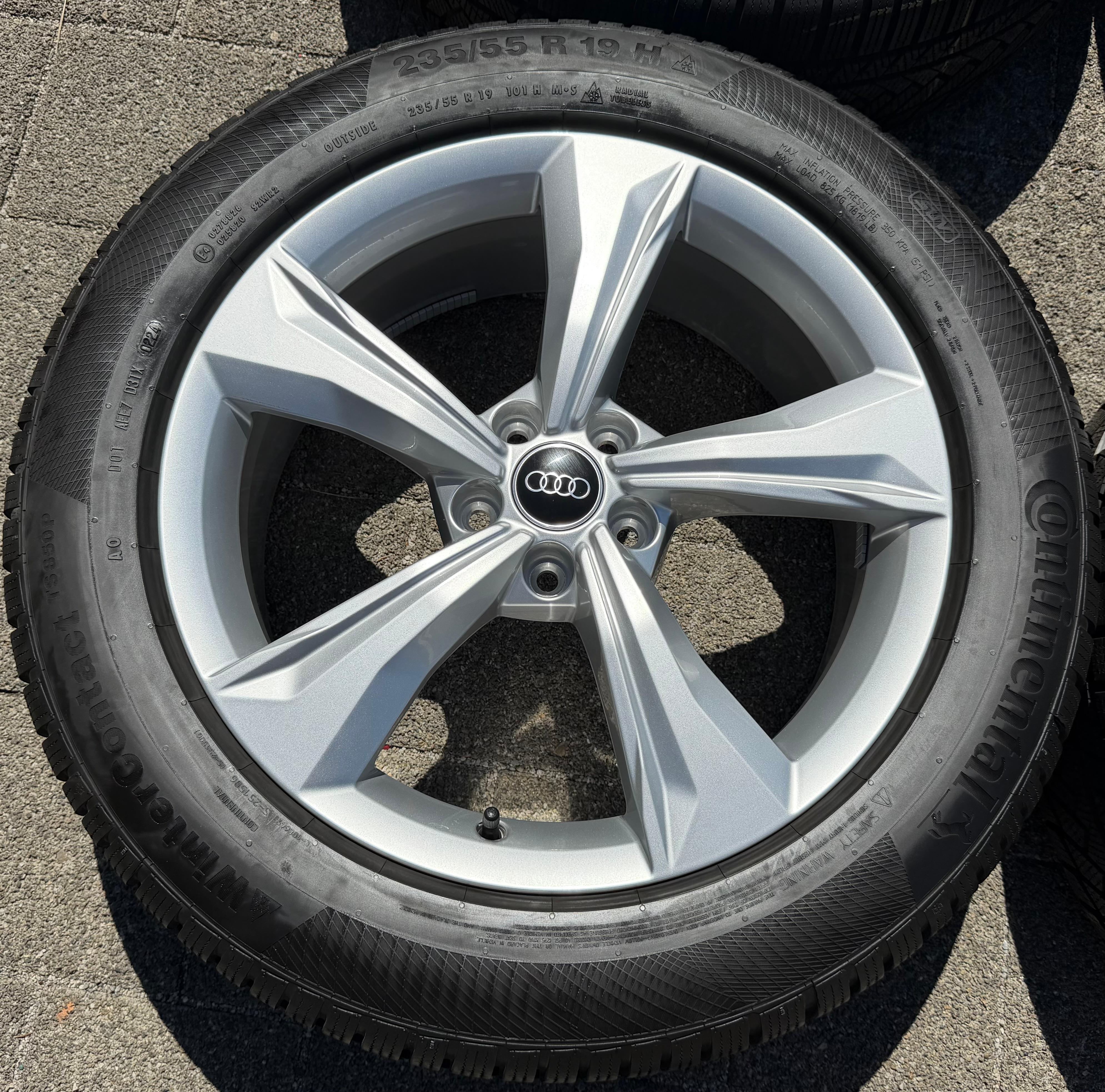 4 Original 19" Alu Winterräder Audi Q5 SQ5 FY 80A601025K 235/55R19 101H Continental 2024